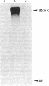 1247