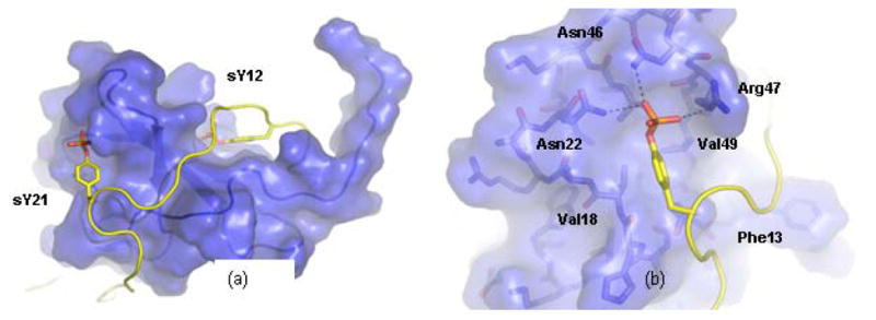 Fig. (1)