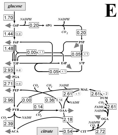 FIG. 5.