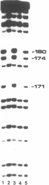1126