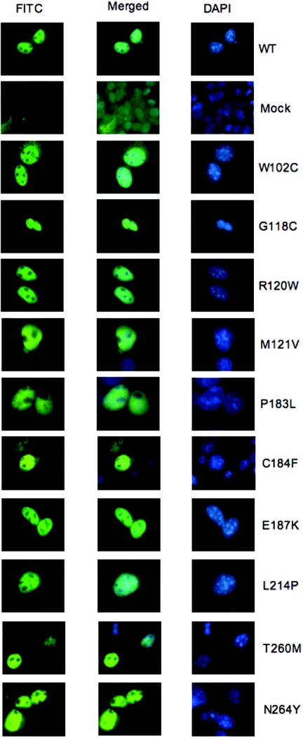 Figure  3. 