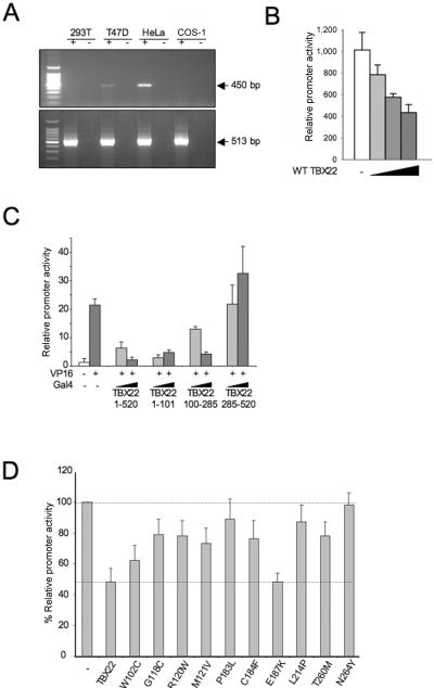 Figure  5. 