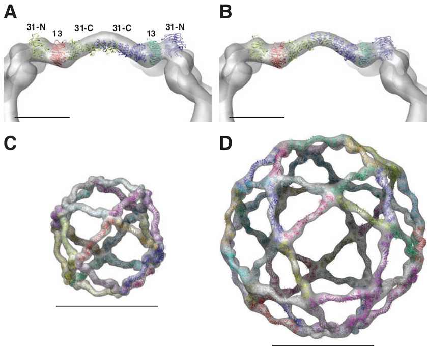 Fig. 3
