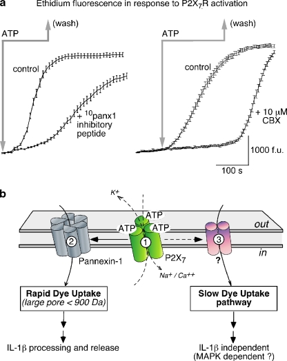 Fig. 2