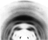 538-2