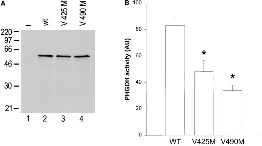 Figure  5