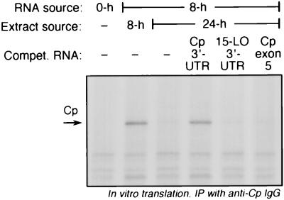 FIG. 6