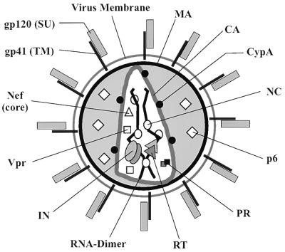 FIG. 7