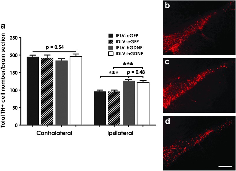 FIG. 4.