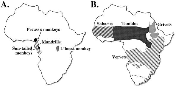 FIG. 6