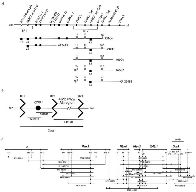 Figure  1