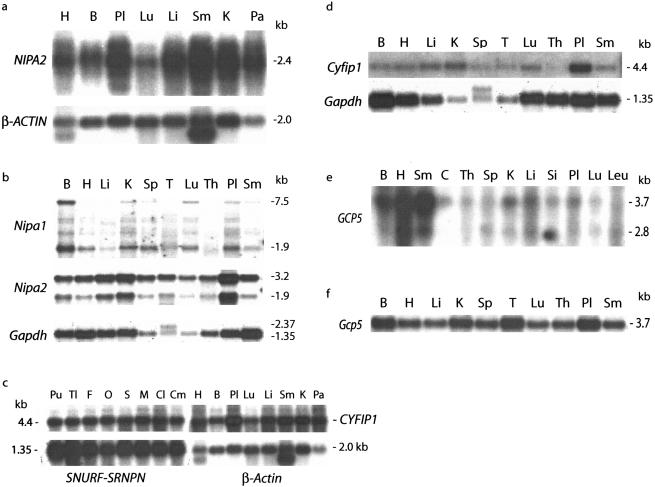 Figure  6