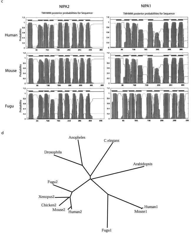 Figure  4