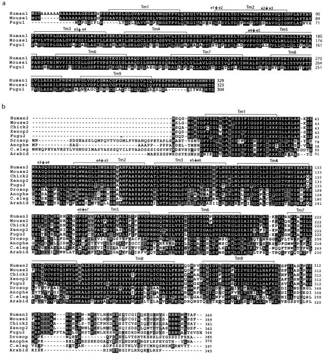 Figure  4