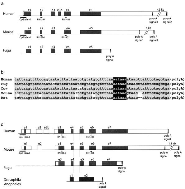 Figure  3