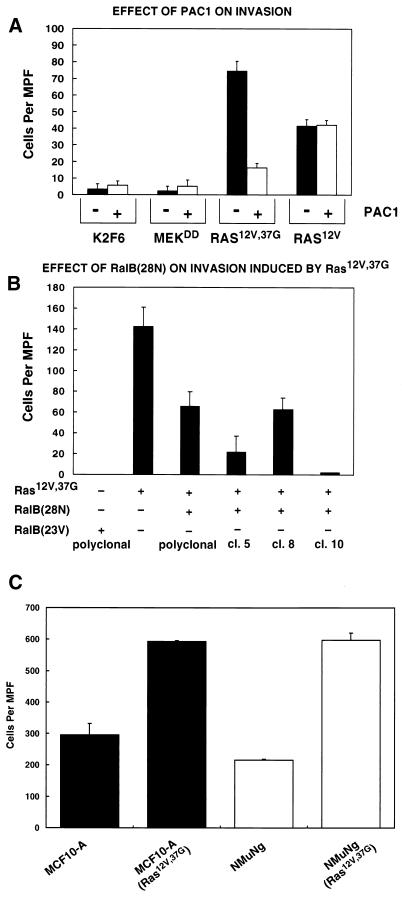 FIG. 6