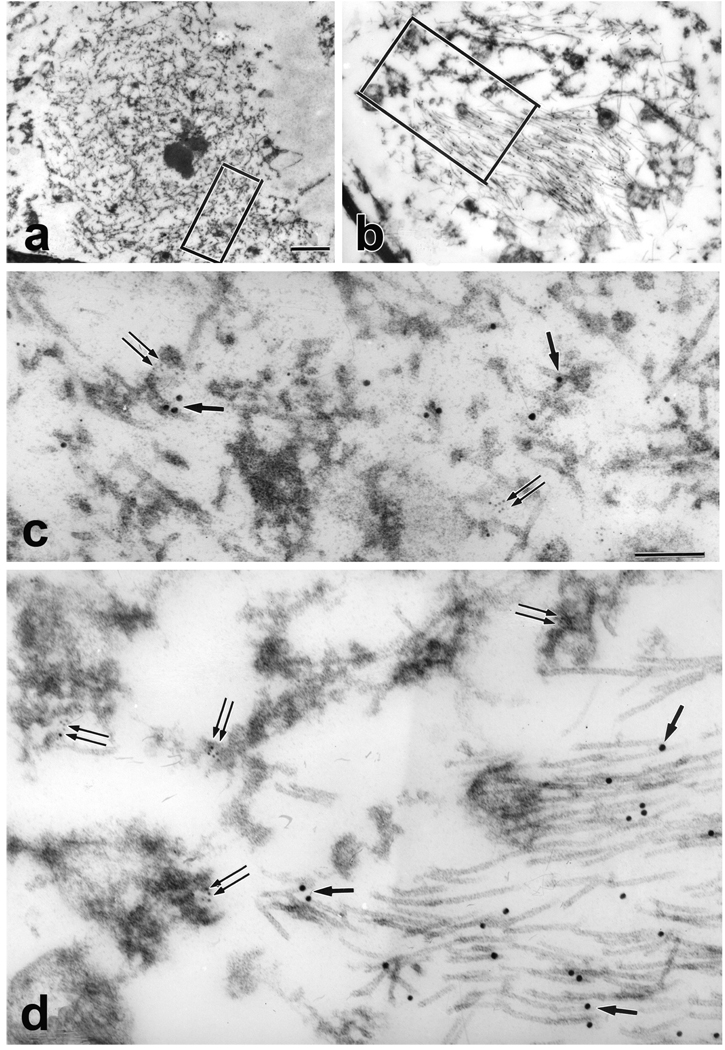 Fig.3