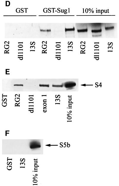 graphic file with name cdd447f4b.jpg