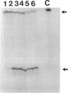 1932