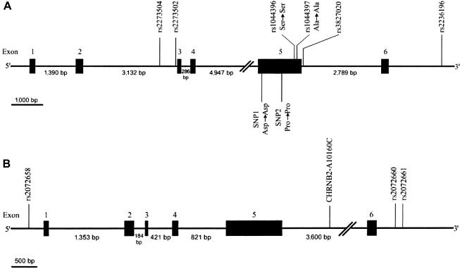 Figure  1