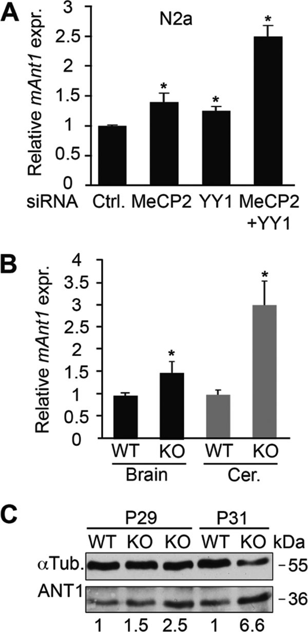 Figure 5.