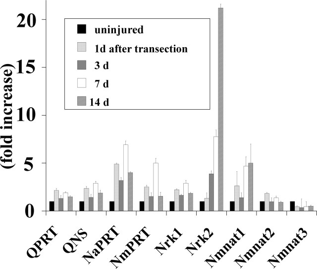 Figure 4.