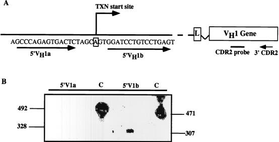 FIG. 5