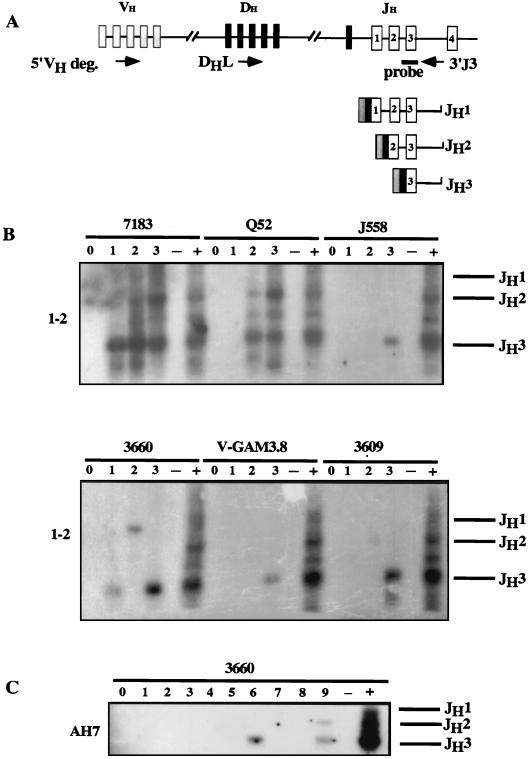 FIG. 6