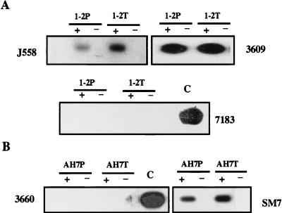 FIG. 7