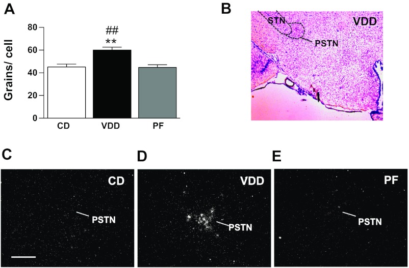 Fig. 7.