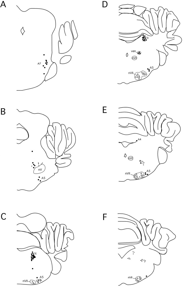 Fig. 7.