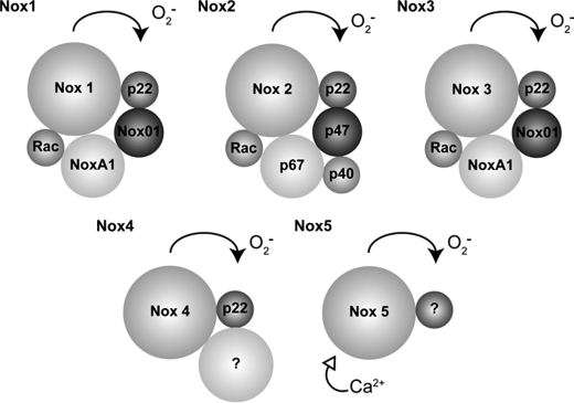 FIG. 2.