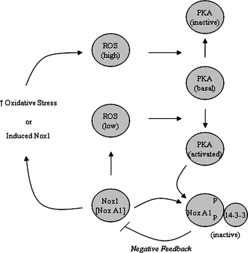 FIG. 4.