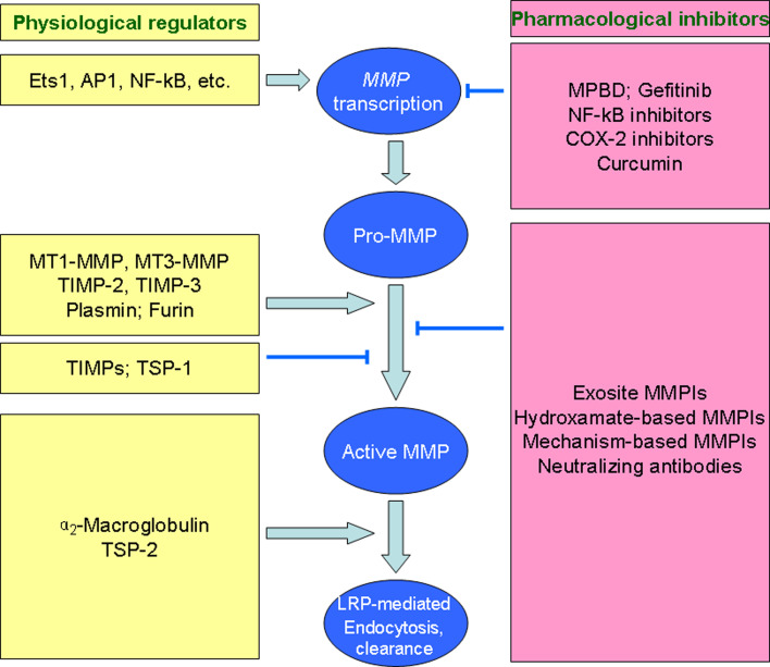 Fig. 2