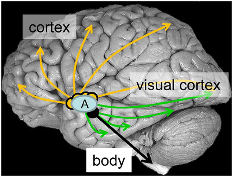 Fig. 10.