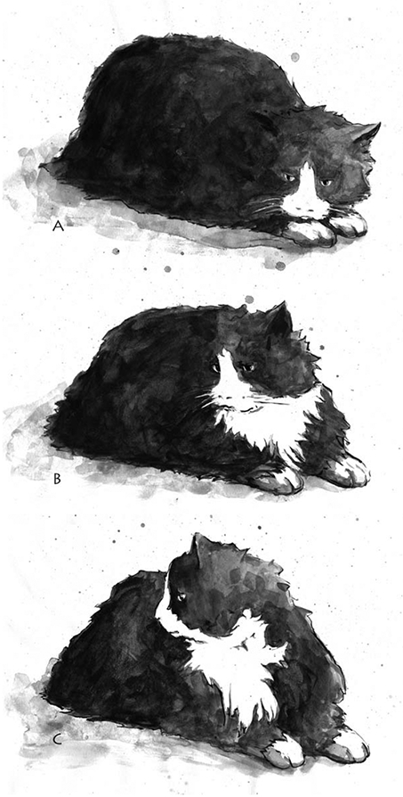 Fig. 3.