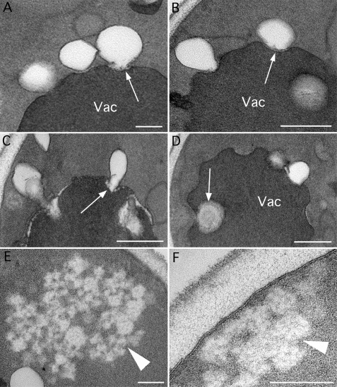 FIGURE 10.