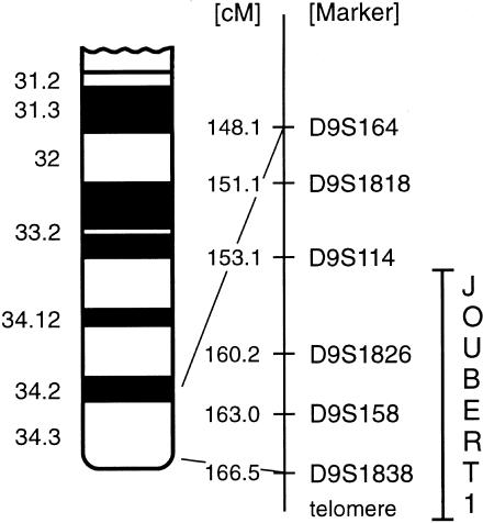 Figure  2