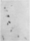 582-2
