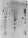 582-1