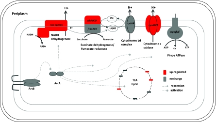 FIG. 3.