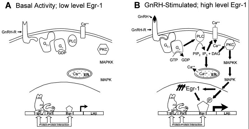 FIG. 9
