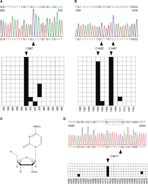 Figure 4.
