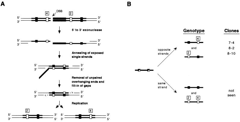 FIG. 7