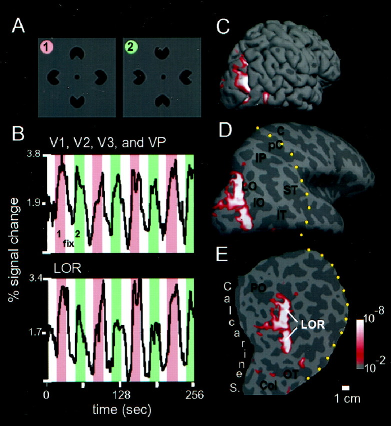 Fig. 2.