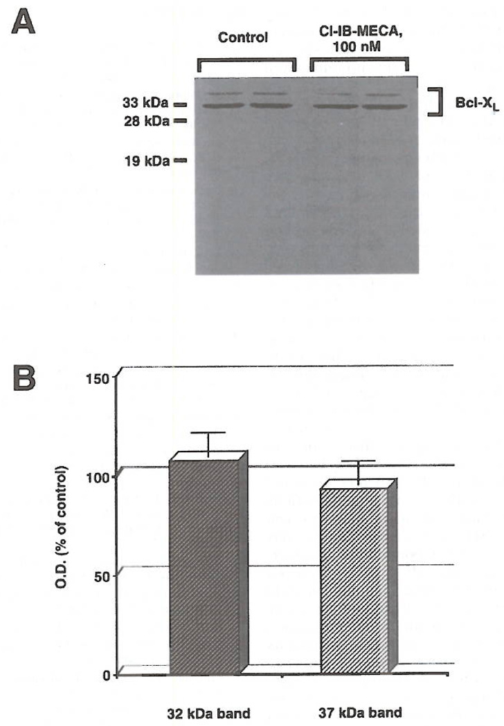 FIG 5