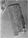 656-2