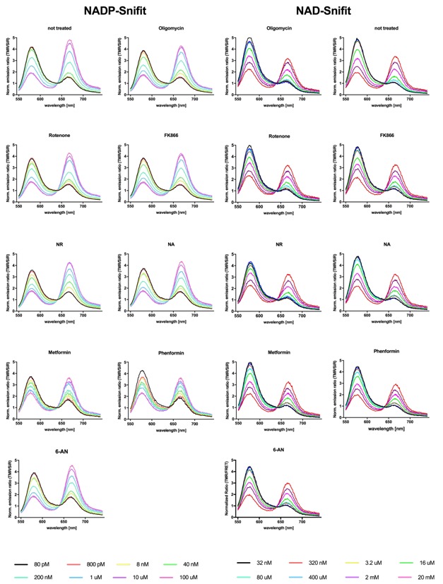 Appendix 1—figure 6.