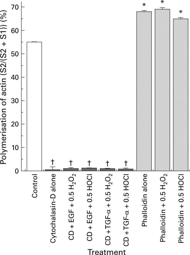 Figure 11  
