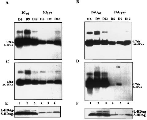 FIG. 6